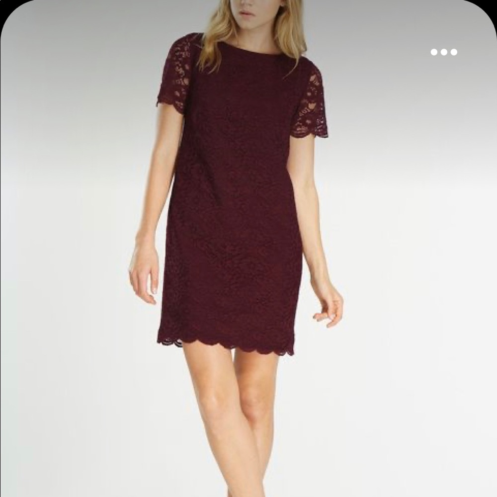 Boden Harriet Lace Shift Dress Maroon Size 18L
